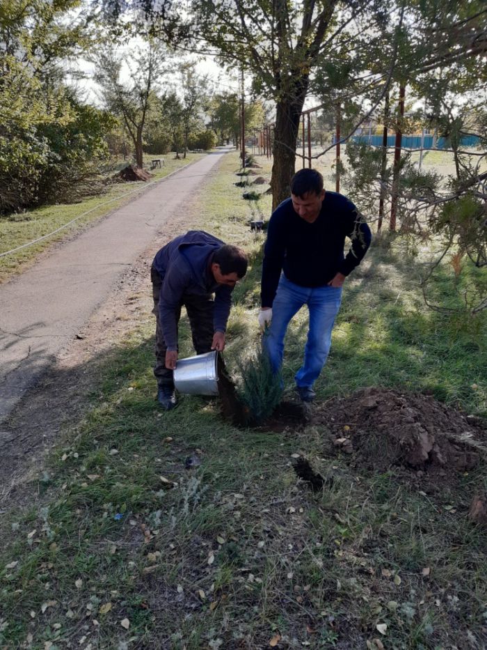 Работы по благоустройству села Апанасенковского продолжаются:


